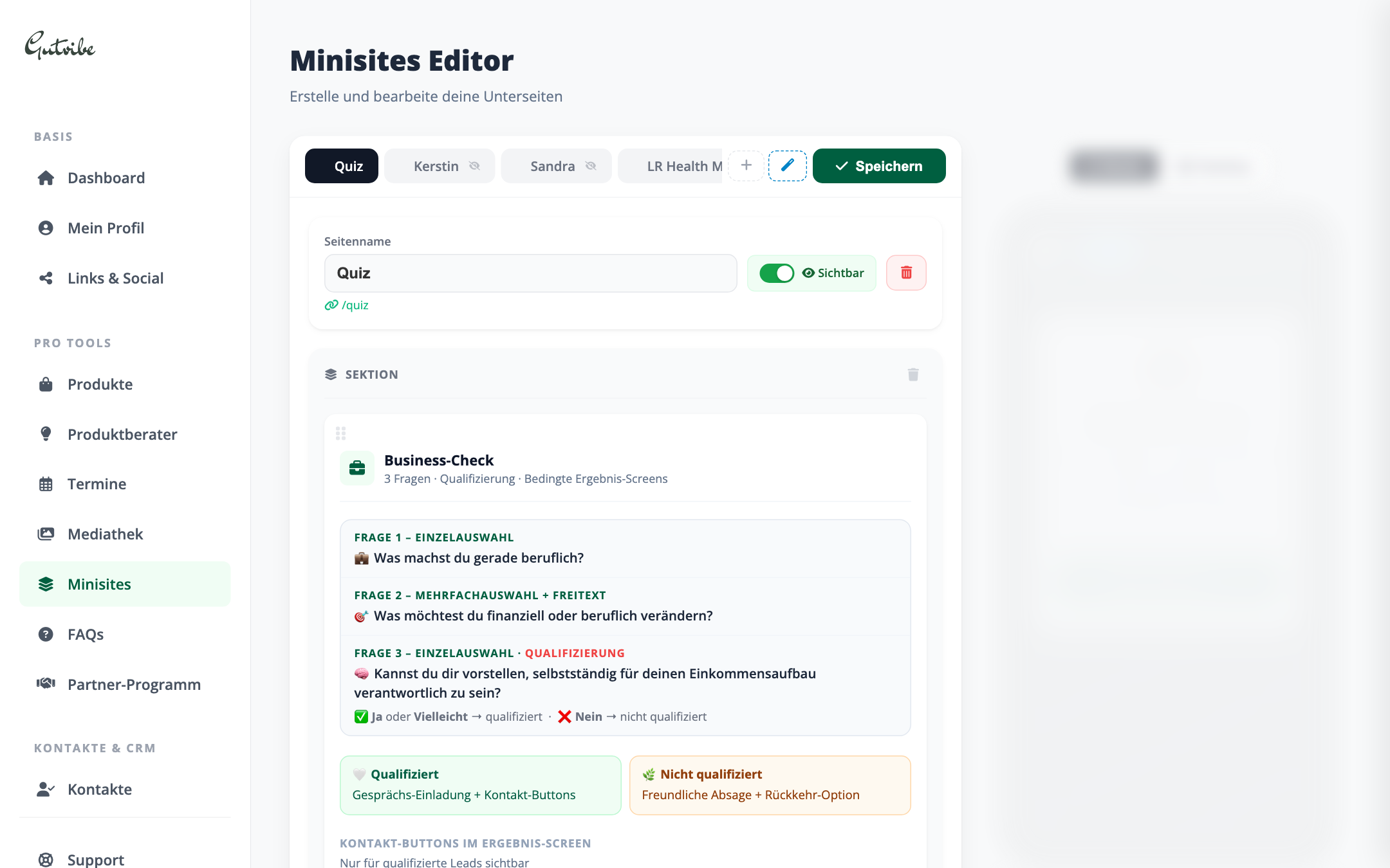 Minisites & Funnels intern